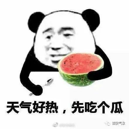 娱乐吃瓜酱谐音是什么歌,揭秘网络热词背后的音乐魅力