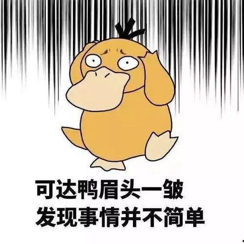 娱乐吃瓜鹅鸭视频大全,鹅鸭视频大全精彩回顾